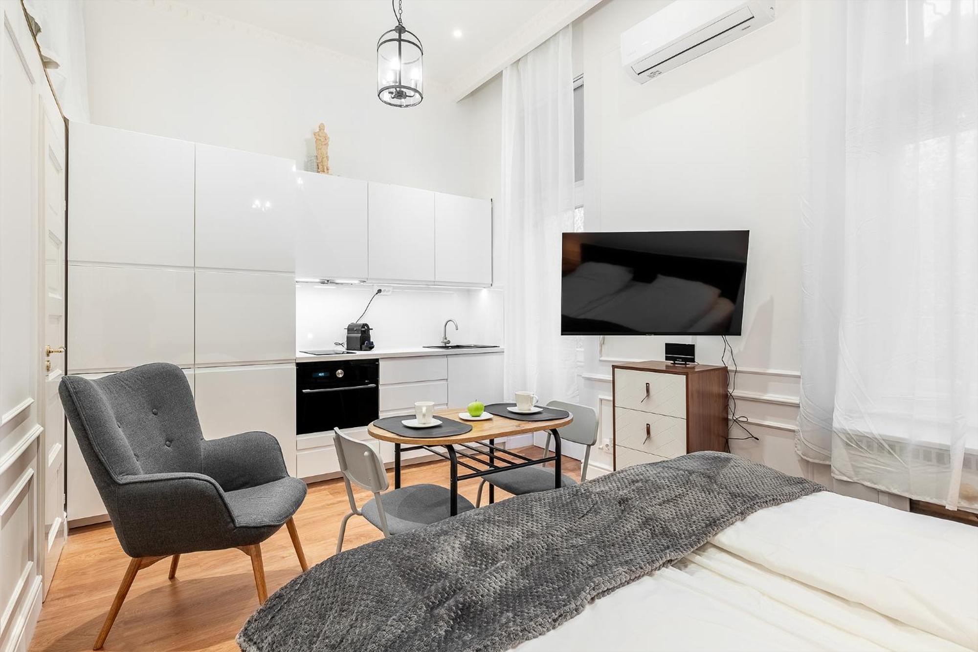 Classical Mini With A Modern Touch! Apartment Budapest